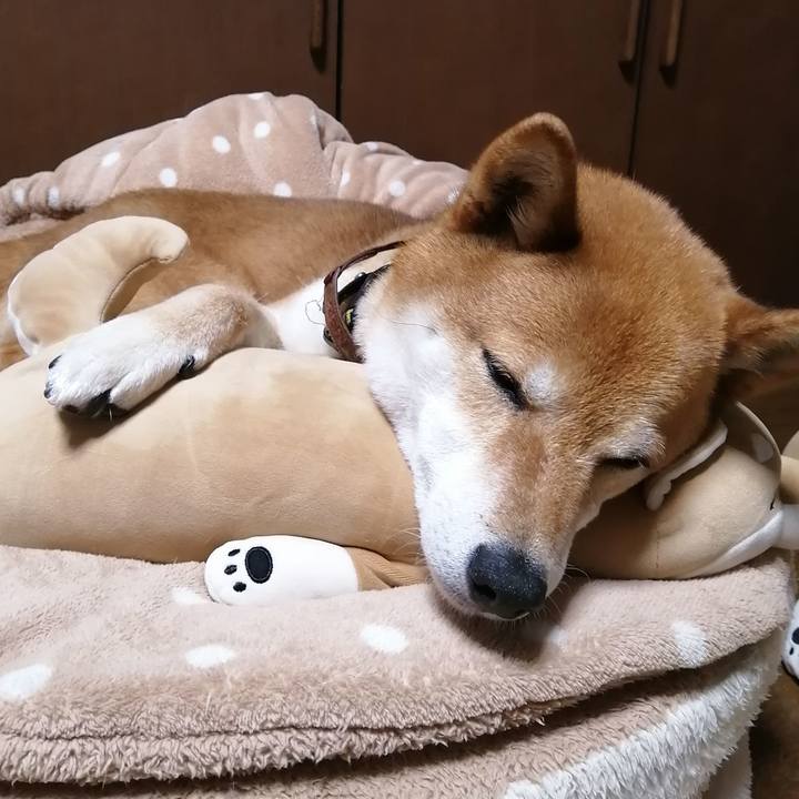 06e23838 ba42 479d 8a29 a6be80993a86 1621162201560