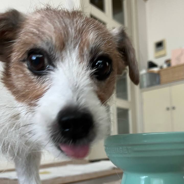 06e23e14 a6a8 4302 b884 80f28f728852 1742341017920