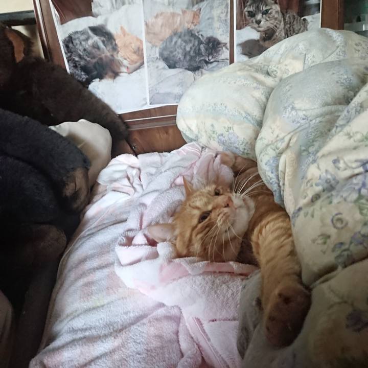 06e24881 21ee 441e 89a7 6d052ac74f75 1655850756464