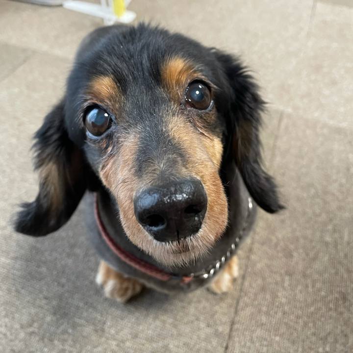 06e2525d 5db4 4277 937b e92858ee270f 1615500007092