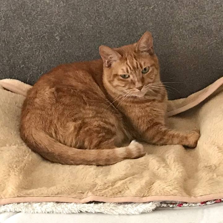 06e2548b 1b12 4ce1 853a a295e33702de 1603853030899