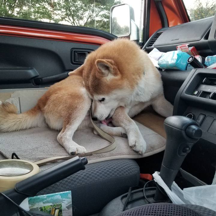 06e27f5e 1ce3 4fdf a56a 7fc911abe6ed 1662886473721