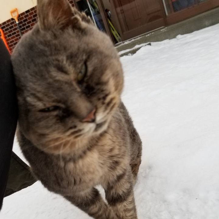 06e2853f 4b9f 4cee b5ad cb163dc2ab0b 1547967852767