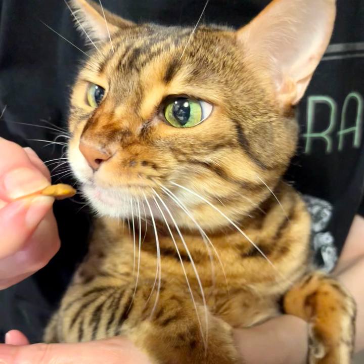 06e28746 2ea0 4741 bc85 d231a629afca 1656252978015