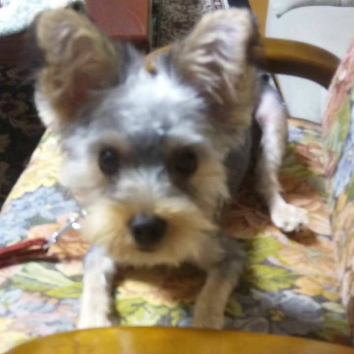 06e29660 5223 4f01 aeb3 6119a07e77f5 1534413358461