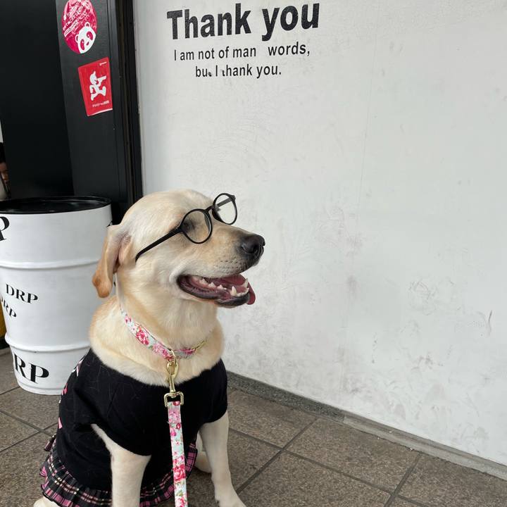 06e2a4d4 332d 4026 9599 3494b908f8e5 1637041554129