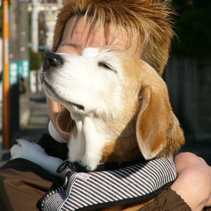 06e2aebe b3c0 4a66 b5f2 2f51a35b5031 1657754515993