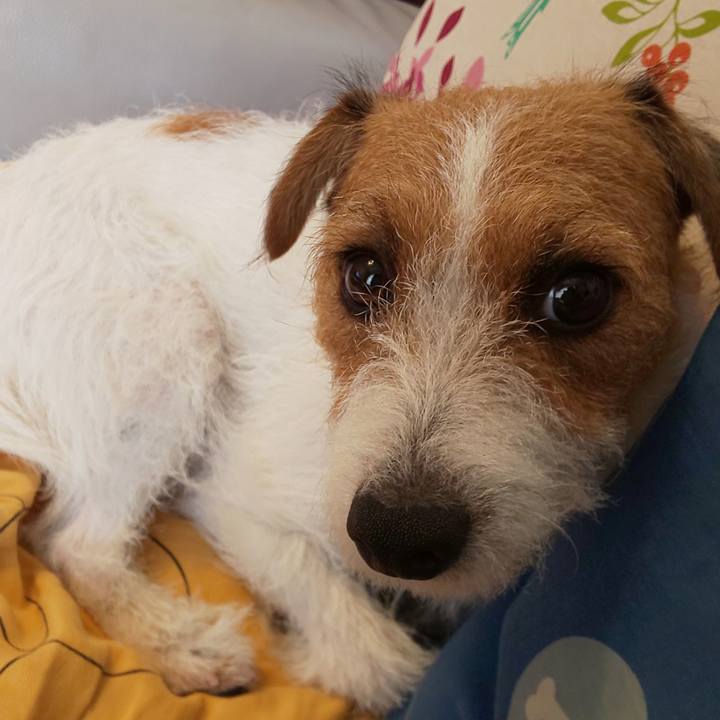 06e2b1bc 299a 4681 a3d8 370e6208383b 1570158730878