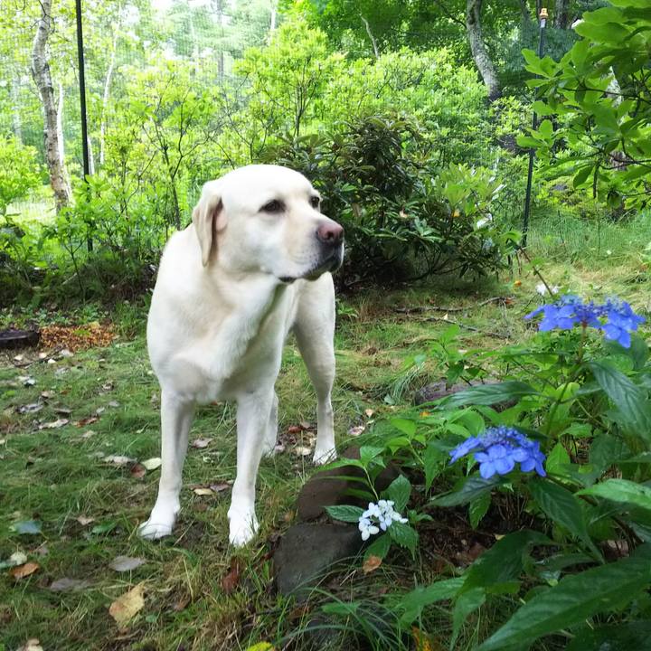 06e2cf5c 0f77 407e 86bb d045663f95fe 1565840803630