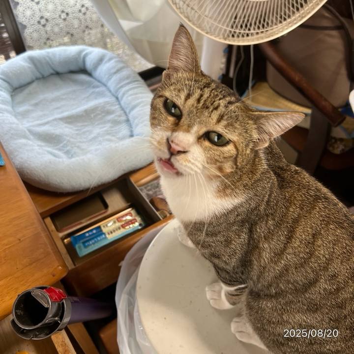 06e304c9 6d1e 4b9f 9140 ef8c0148a4f5 1755658708017