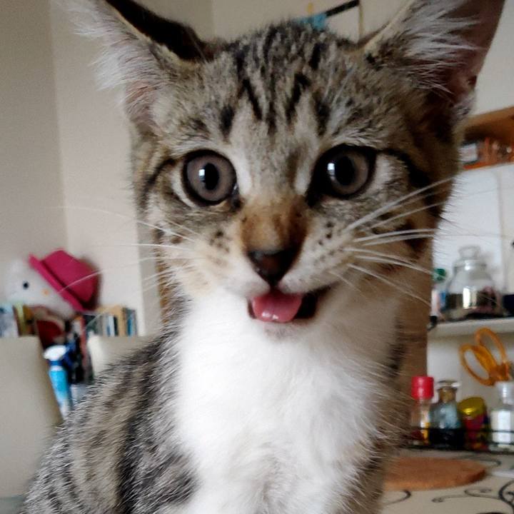 06e318a7 f7f6 4f45 aecb e37ecbb10f67 1626216449824