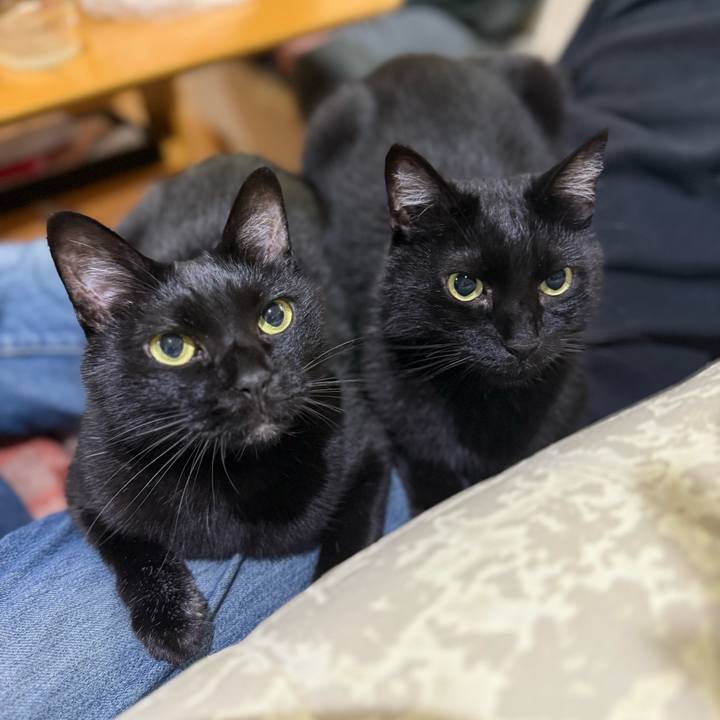 06e3536c a57e 4b1b ba49 d82d329ab14c 1747828941870