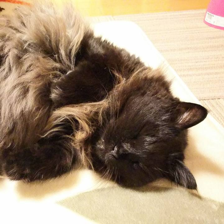 06e36377 0809 4b5b 94a0 376d9daff3d9 1514987845898