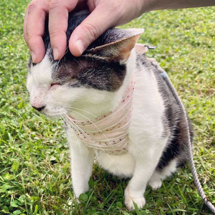 06e38868 03ec 4ec6 bcbb 3906d92f286b 1603353425884