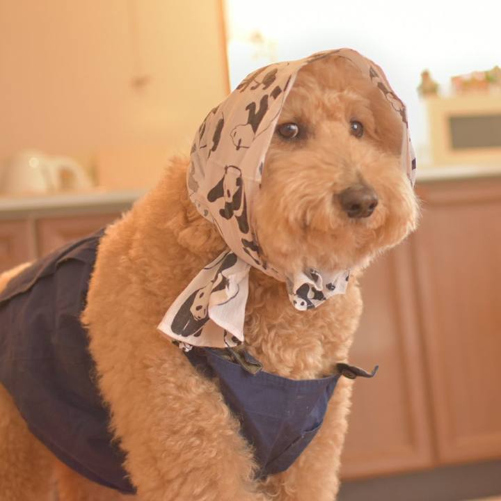 06e38f39 acd3 4a07 90d8 a67881ae1cff 1514353638549