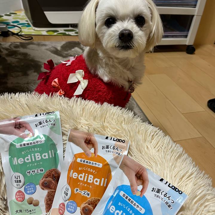 06e3b0fe 39c7 42b4 8a5c 08337d1c078b 1671350524778