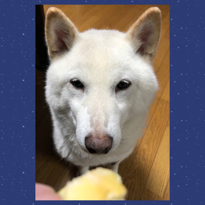 06e3dc54 bccf 4179 8476 87d3faac882e 1636621257198