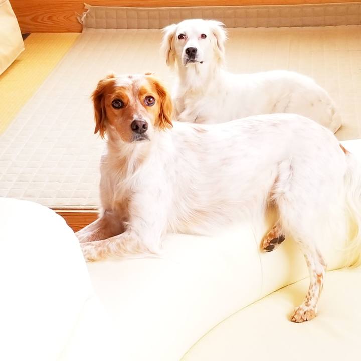 06e4089e a2a6 4705 8d12 3dea9909c723 1551165945691