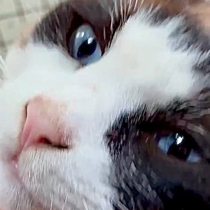 06e40c02 38c6 477b 9c5c 66fdb2ef94fc 1749627993600