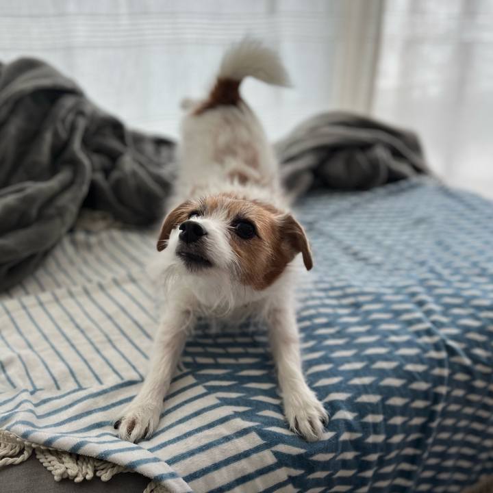 06e41af6 b0ed 4238 8cec f80e4b8d0111 1698724356022