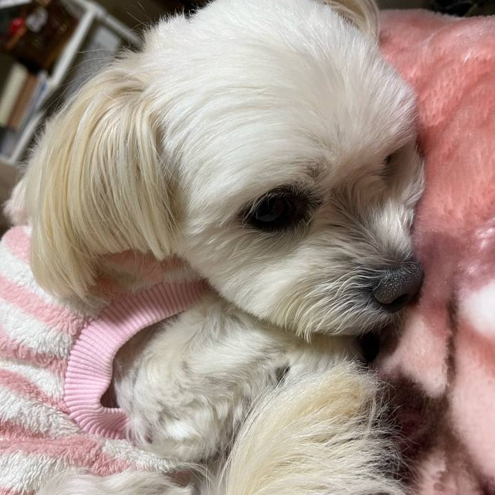 06e44685 71ab 4137 8fd4 5fcda5294127 1672398720313