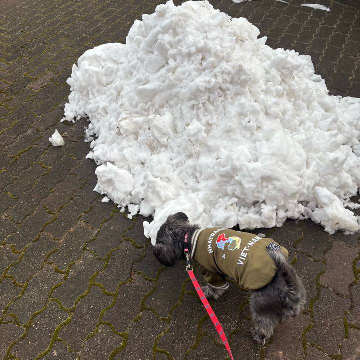 06e44e17 0bc1 44fe 8d79 5cea2a97045f 1770802504503