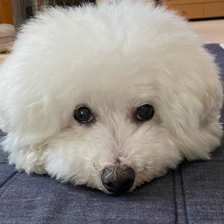 06e45026 d674 4472 ac68 e3b1d30b5155 1653985466209