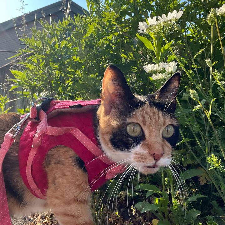 06e454e7 8c95 4a0d a953 d7963b8923e7 1653473553670