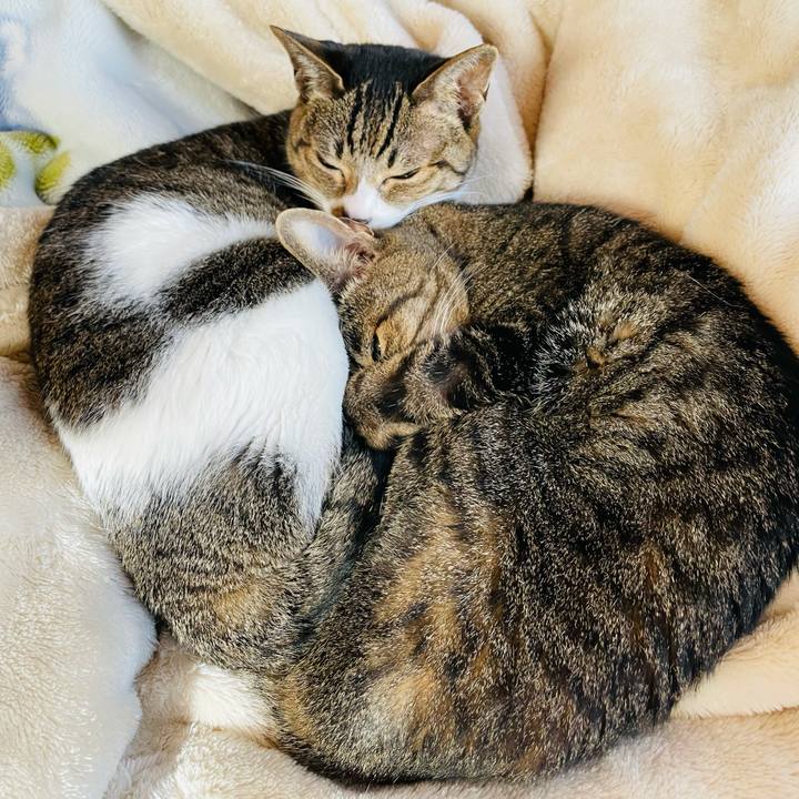 06e480f1 028b 4b7e 9c6f 0bcd51e4559b 1609897476079