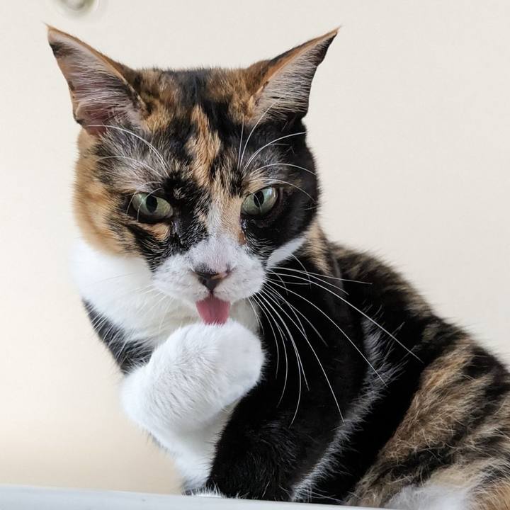 06e4816c 2984 4767 860e 3e9b9276cd2d 1686283052822