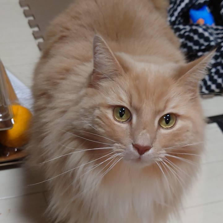 06e48c1e 98e0 4df5 9d39 9fc465ecb753 1640946654491