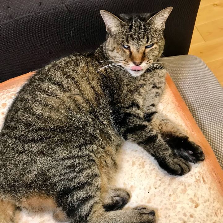 06e48e91 0a64 4593 affa 51c313f9a0e8 1632456081270