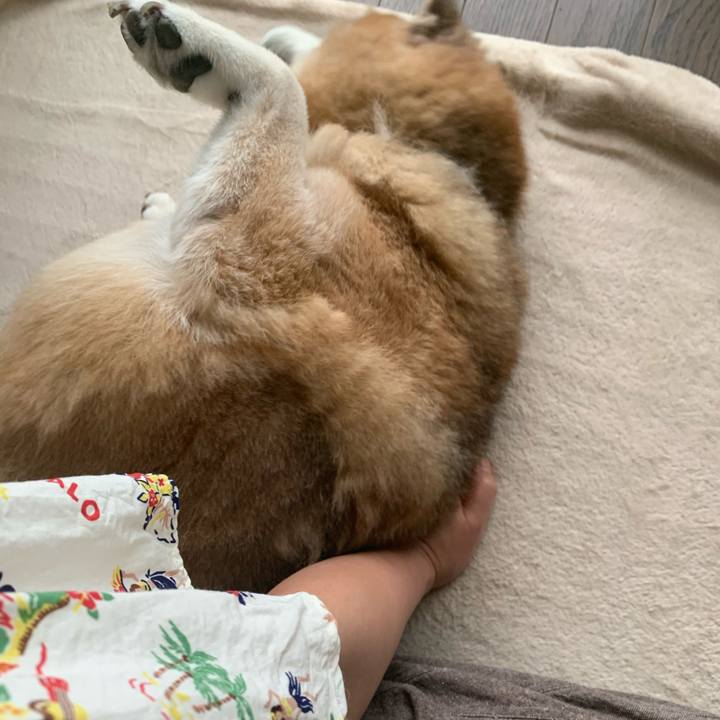 06e4936e d8fb 4823 82fe 002a2861dba3 1597021295134