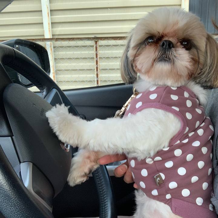 06e4a7fc 84bb 4061 a496 97e65fec65ed 1615627285229