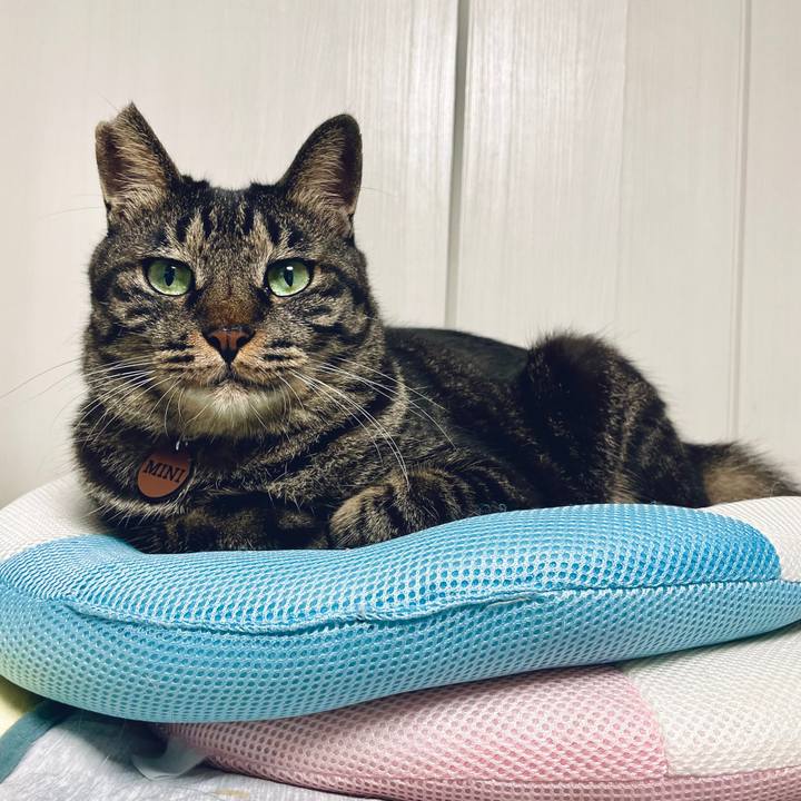 06e4b4b0 2364 4f9a b320 62c3091d2861 1725720060225