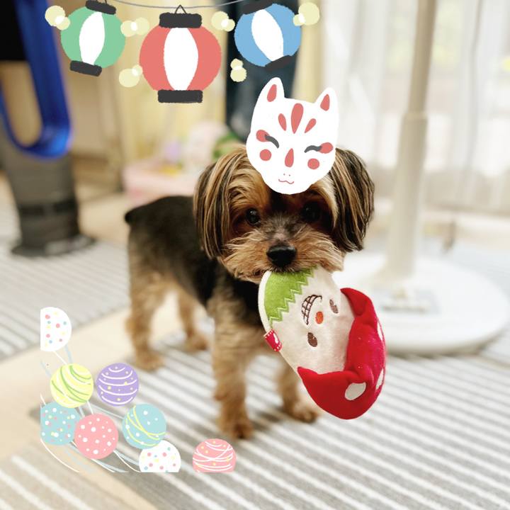 06e4c701 1cd4 4e14 a69f 9d9d817933bd 1660360184375