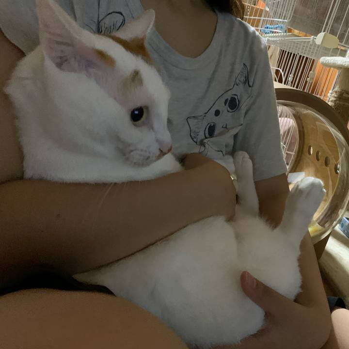 06e4c7df c3df 4ca6 bcd6 1a6e950c9c22 1599831815493