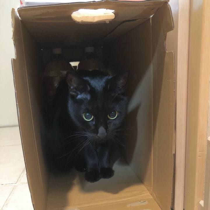 06e4f490 5679 4ca9 8225 5b176b4f4181 1640091619643