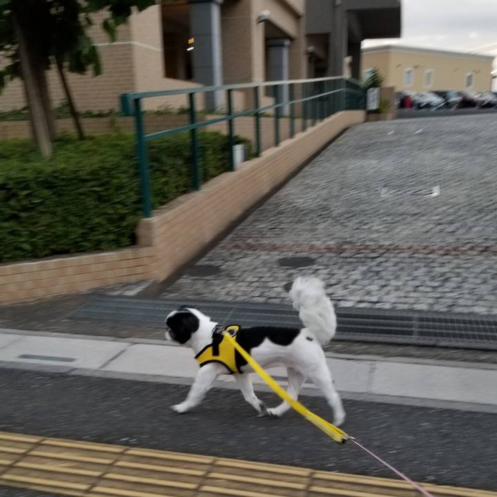 06e518f6 3c29 4241 8d21 ffd853bc26dc 1598307824349