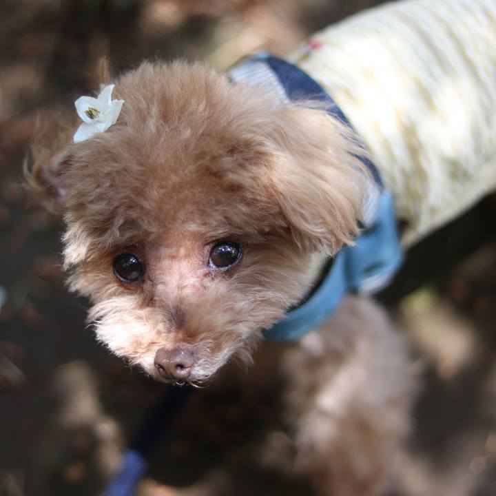 06e53067 fab6 4737 a848 11316266eb9e 1591882600756