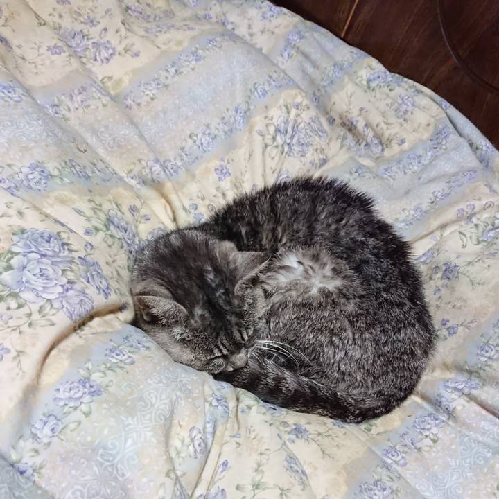 06e54532 0b4d 46e6 9aef dd0c4310dfeb 1580386585104