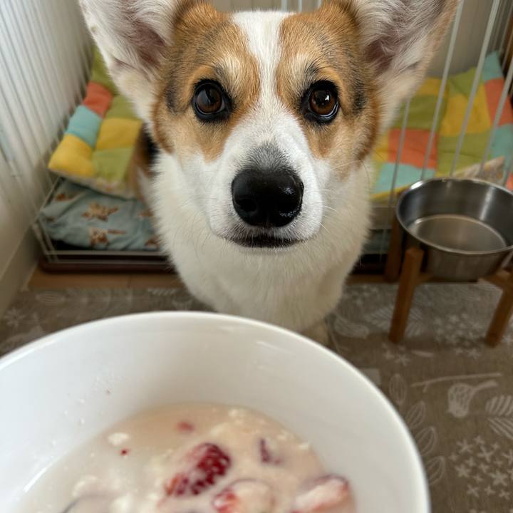 06e5744a ae70 4d17 a2a3 0912e1da597a 1775375859328