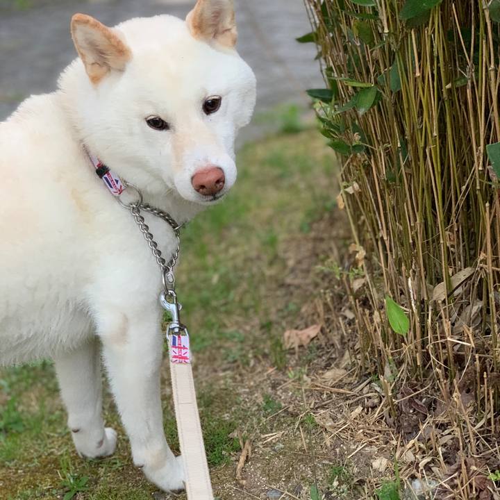 06e57e13 621d 4c75 aeea d1c0b70e69eb 1558520674596