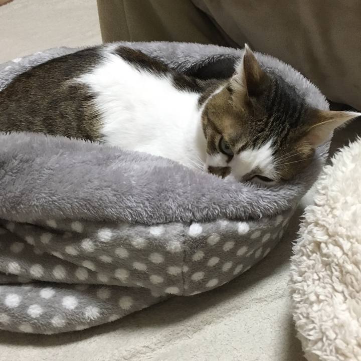 06e57efb 1202 4a38 8eeb 1ef07822e54c 1548323454236