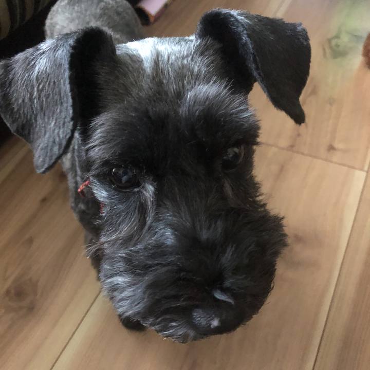 06e59135 37f8 4ade 99c5 607b3040bb70 1569387327076