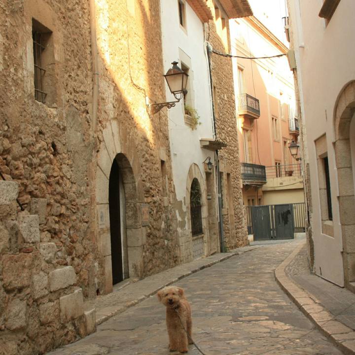 06e59ff9 f726 40f7 a82a 4f52f5206a55 1534916651998