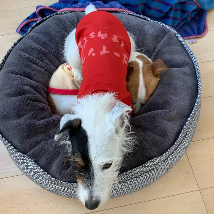 06e5c336 e6a2 4729 99e9 09d23f408bde 1641693586564