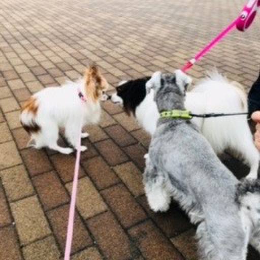 06e5e1cf e24c 45de bed4 b61cd135a001 1508230958477