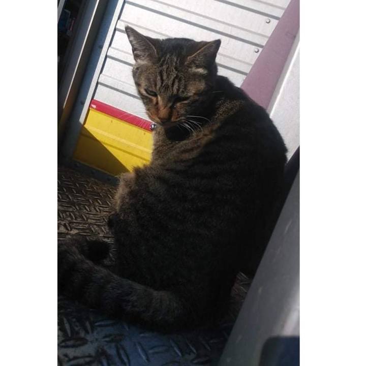 06e5e62c 212f 42c1 8187 25fabfc61f76 1637902355882