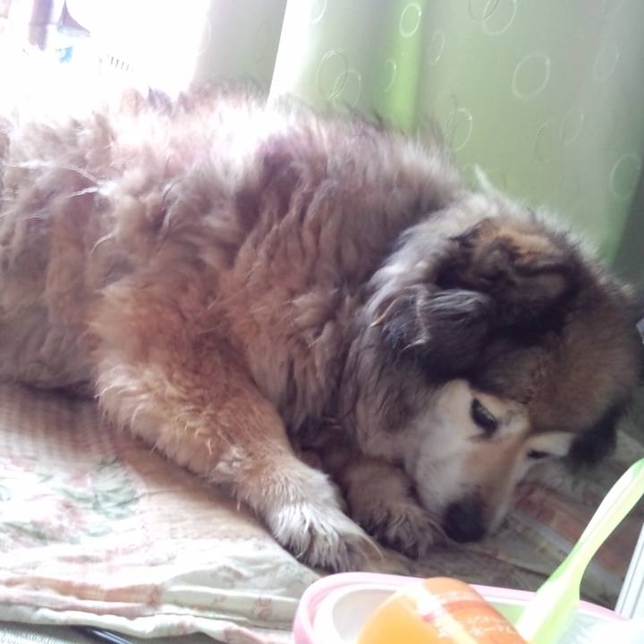 06e5fb7f 9ef8 4173 a3ec 94c6384d9c02 1601019363987